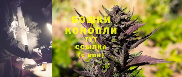 трава Армянск
