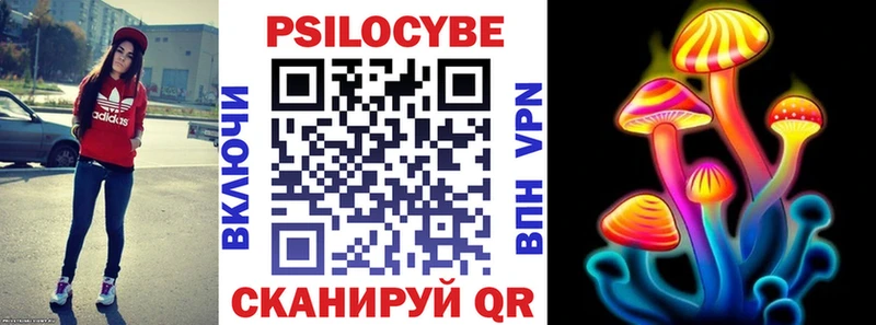 Псилоцибиновые грибы GOLDEN TEACHER Суджа