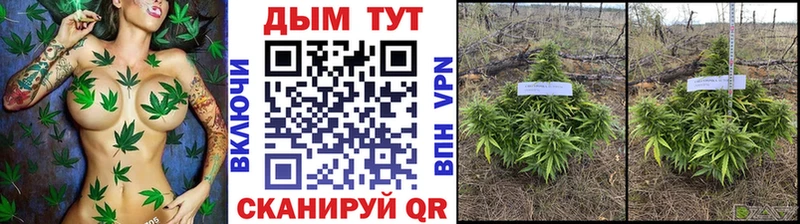Купить закладки  Суджа  Марихуана Amnesia 